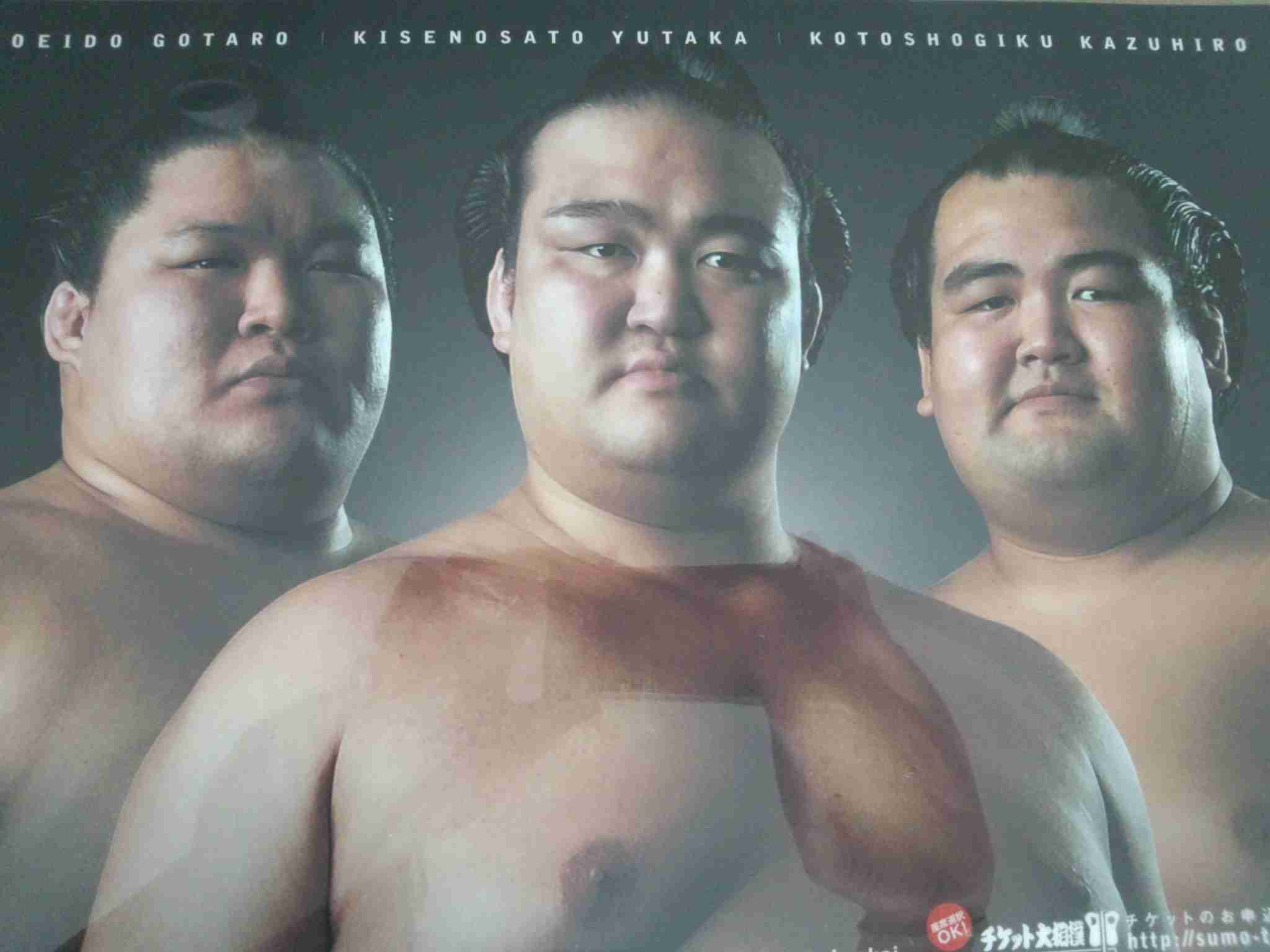 大相撲好きな人語りませんか