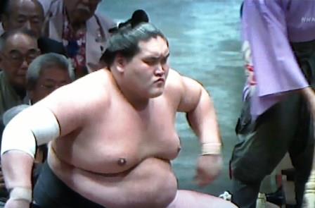 大相撲好きな人語りませんか