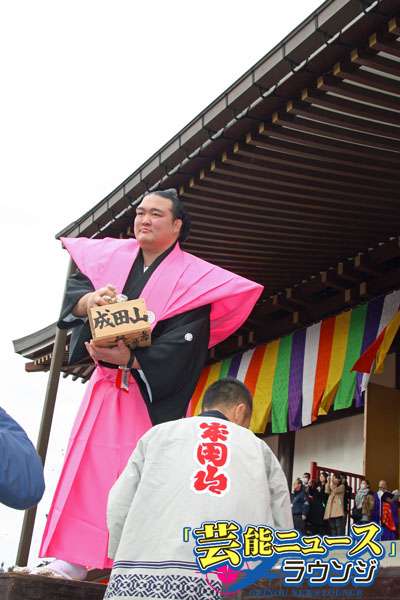 大相撲好きな人語りませんか