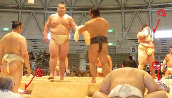 大相撲好きな人語りませんか