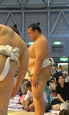 大相撲好きな人語りませんか