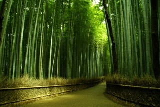 この観光地に行ったことがある人はプラス