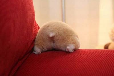 他に行くトピがない人が集まるトピpart2