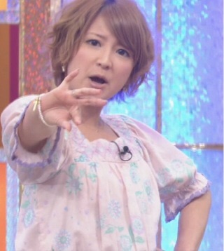 月収100万円超！矢口真里の収入源は一体なんなのか？