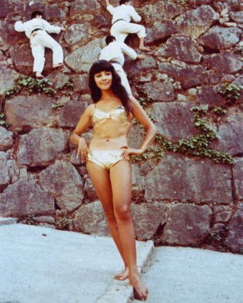 現在40歳以上の女優さんの、一番綺麗だった頃の写真