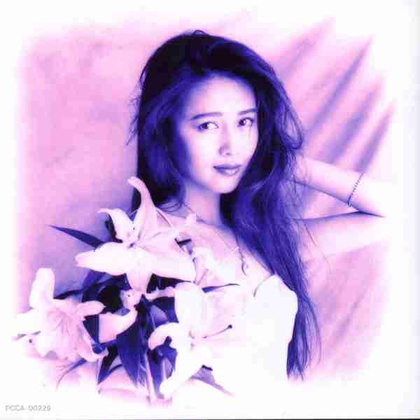 現在40歳以上の女優さんの、一番綺麗だった頃の写真