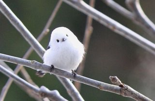 アンカー機能（返信機能） 練習場♪