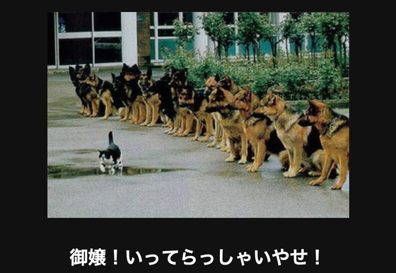 クスッとくる画像を貼るトピ