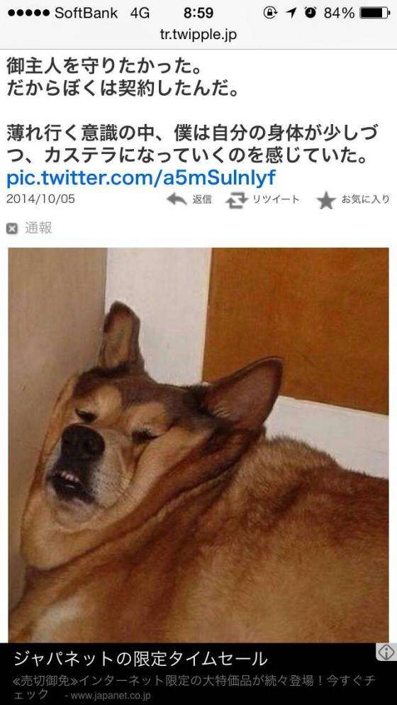 クスッとくる画像を貼るトピ