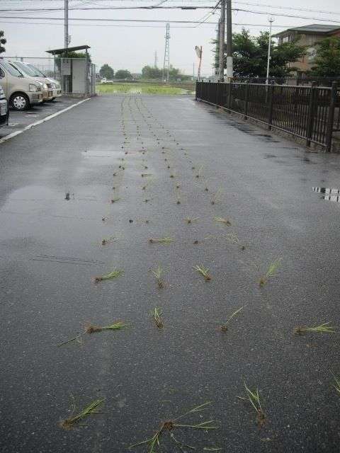 クスッとくる画像を貼るトピ