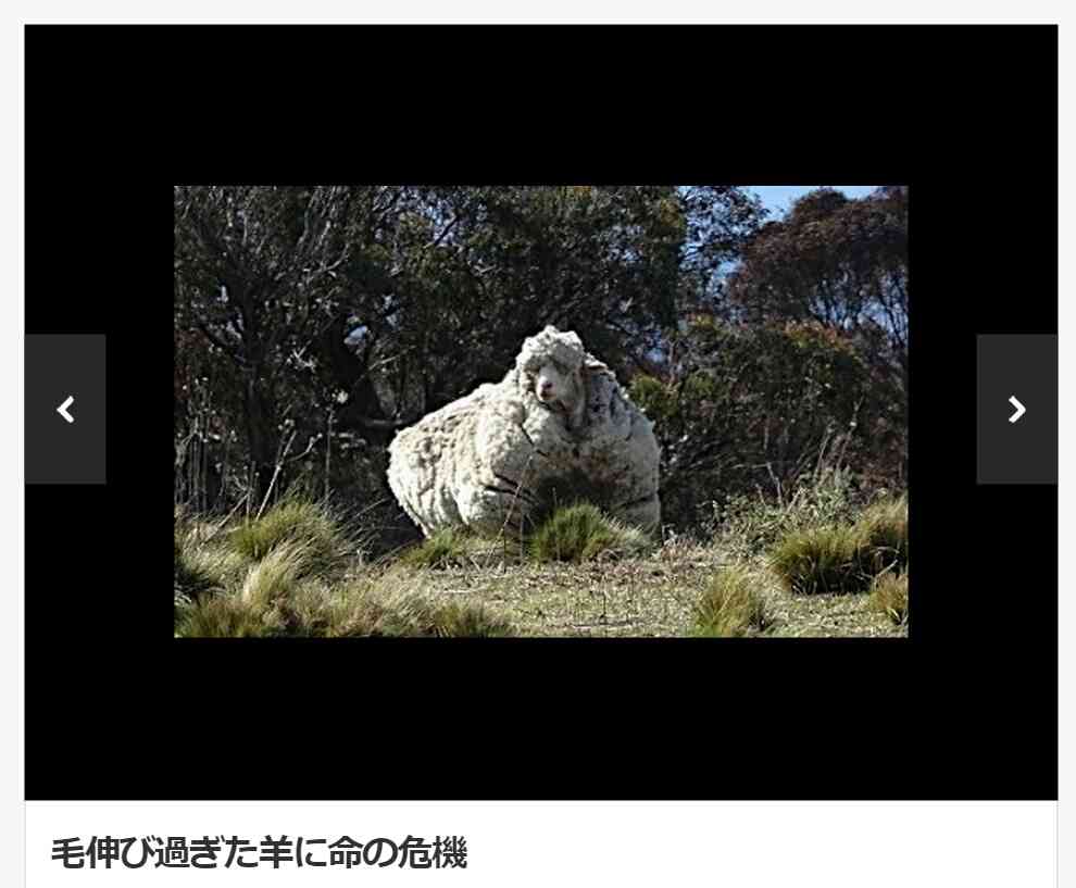 クスッとくる画像を貼るトピ