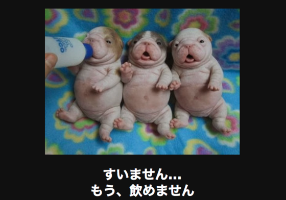 クスッとくる画像を貼るトピ