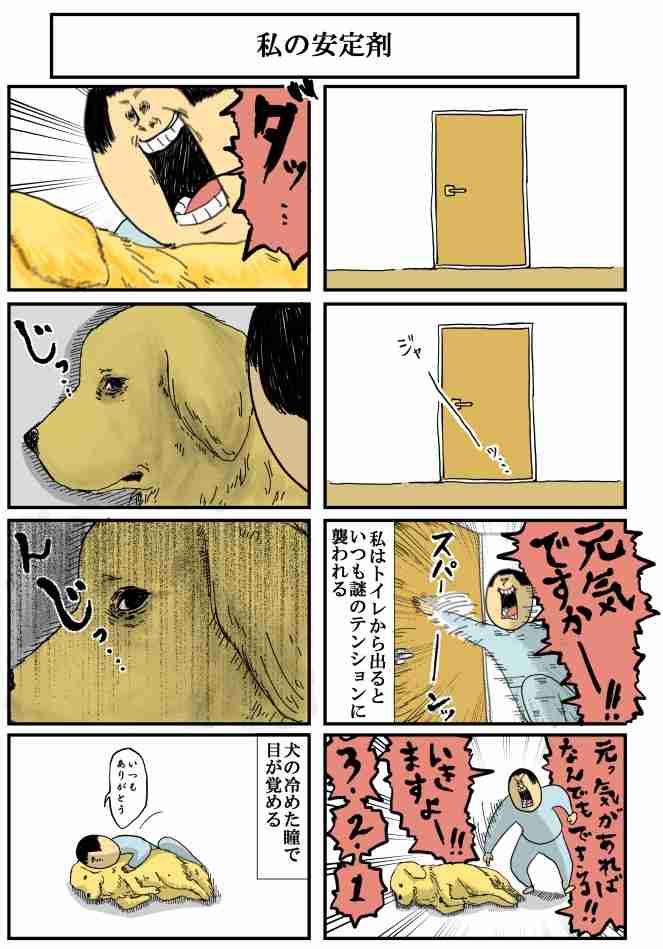 クスッとくる画像を貼るトピ