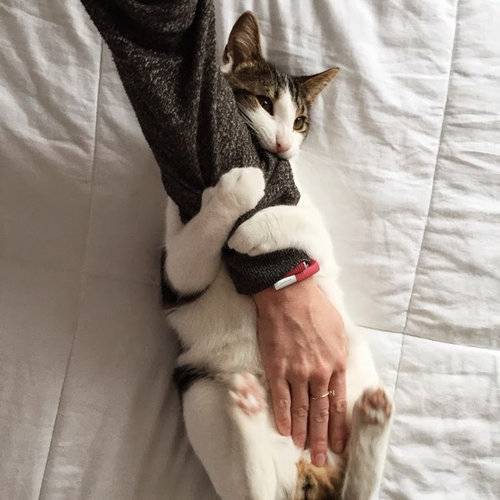 クスッとくる画像を貼るトピ