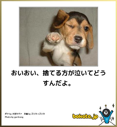 クスッとくる画像を貼るトピ