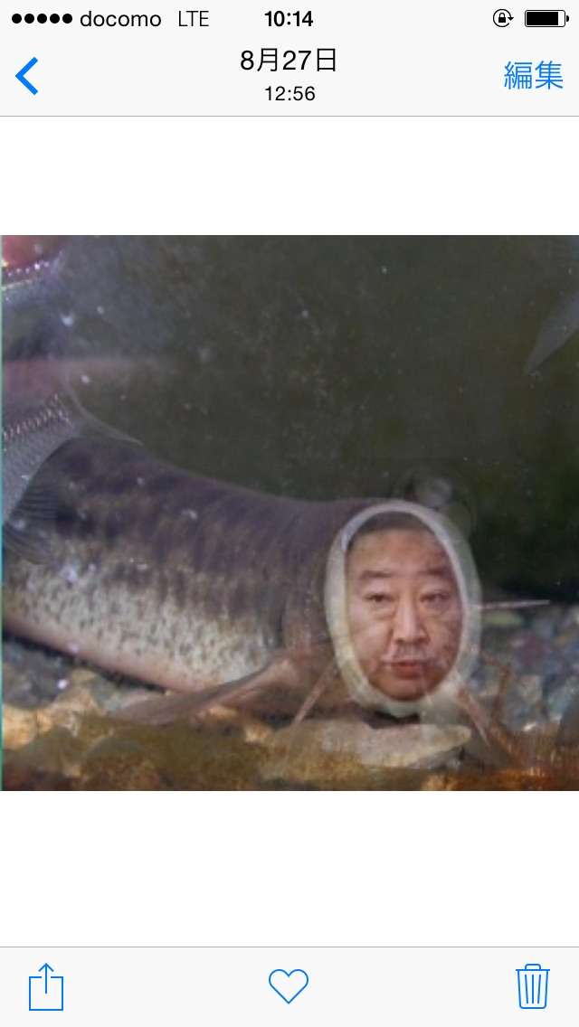 クスッとくる画像を貼るトピ