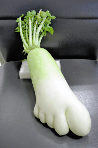 クスッとくる画像を貼るトピ