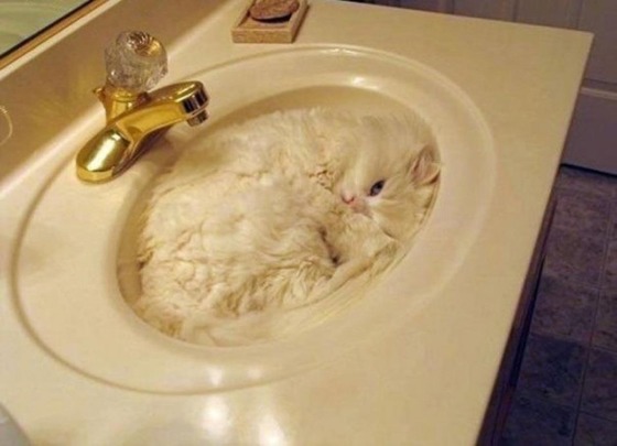 素敵な洗面所の画像を貼ろう！