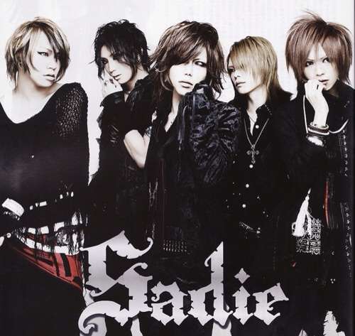 ヴィジュアル系バンド好きな方!!