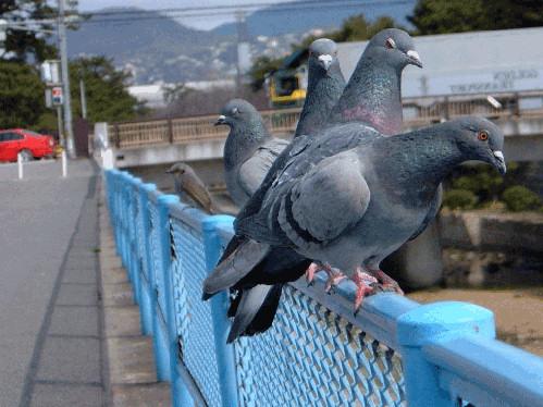 荒い口調であったかい会話をするトピ