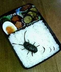 びっくりしたお弁当のおかず
