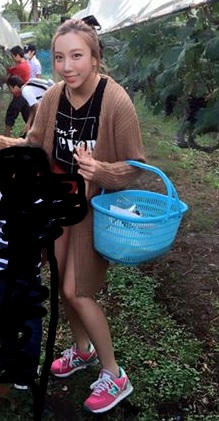ざわちんが7日間連続で有名人に大変身！白石麻衣、有村架純、水原希子など