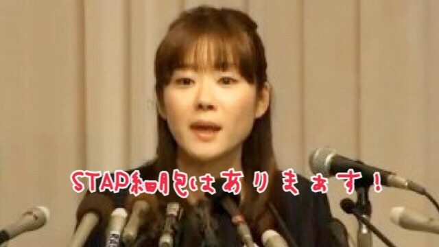 芸能人の過去発言で好きなセリフ