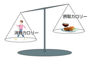 1日の摂取カロリーは？