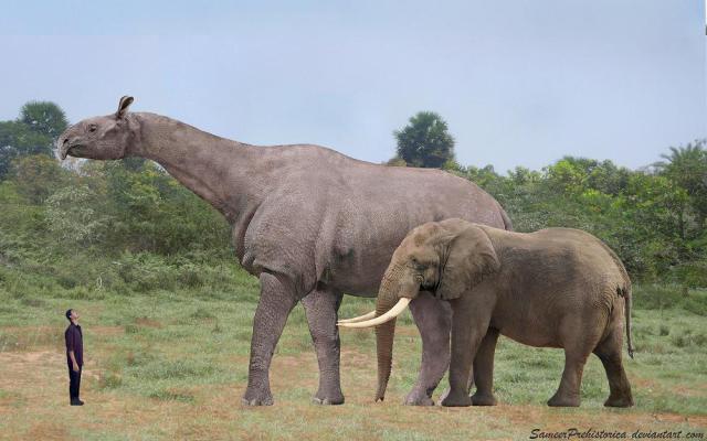 大きな生き物の画像を貼るトピ