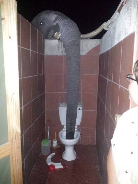大きな生き物の画像を貼るトピ