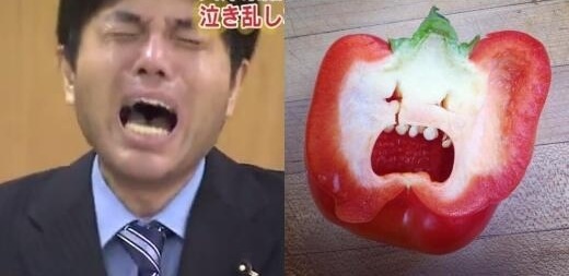 気持ちが落ち込んだ時