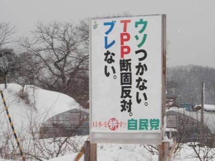 TPP(環太平洋パートナーシップ協定)に賛成ですか?反対ですか?