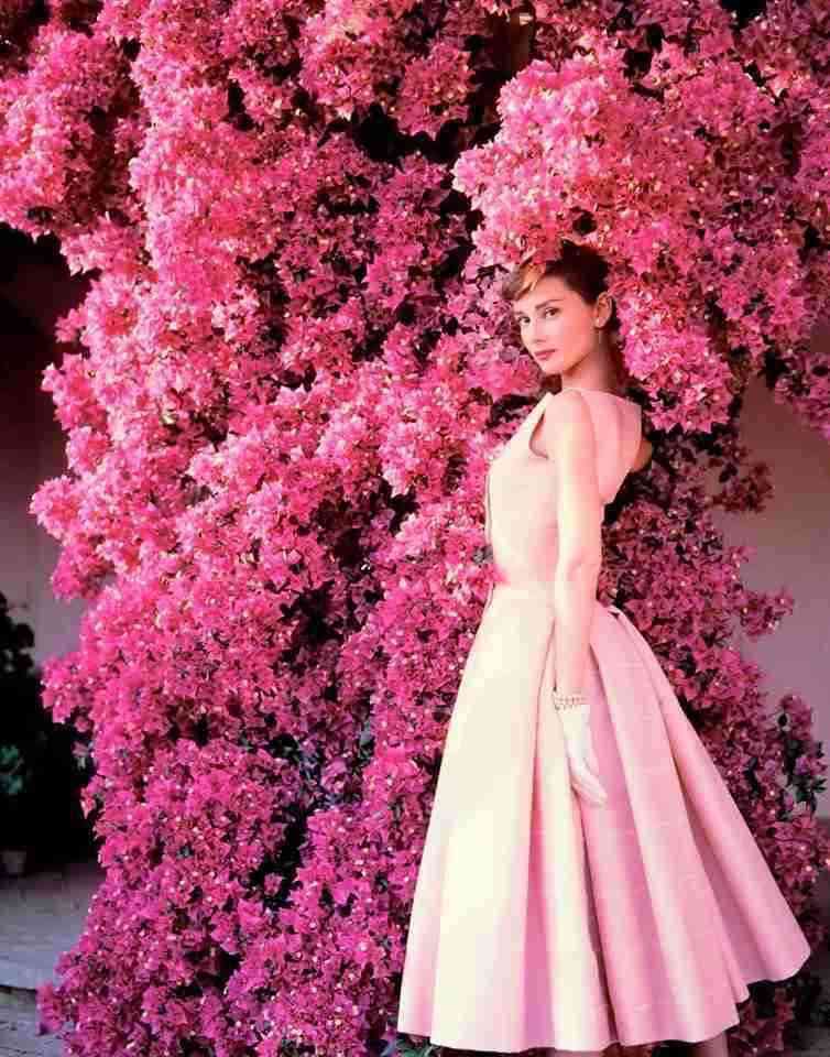 目の保養トピ【女性限定】