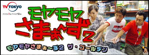 【テレビ】ほぼ毎回欠かさず見てる（見てた）番組は？
