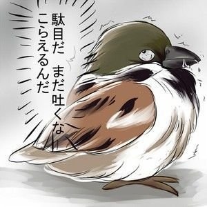 ガルちゃんで最近貼った画像を貼るトピ