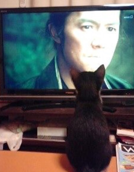 『龍馬伝』観てた方〜！