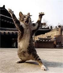 動物のちょいブサ画像が集まるトピ