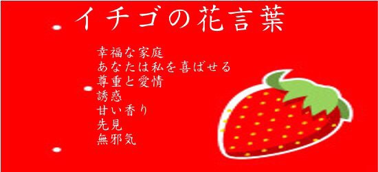 いちご柄の画像を下さい。
