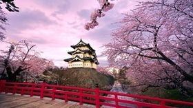目の保養トピ〈Japanese〉