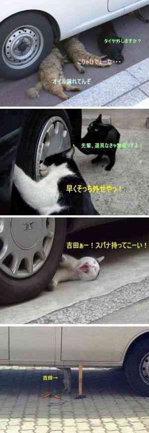 ガルちゃんで思わず保存した画像