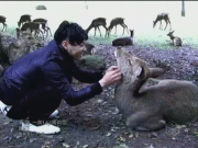 ガルちゃんで思わず保存した画像