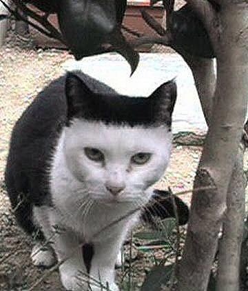 ガルちゃんで思わず保存した画像