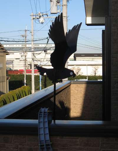 ベランダに何がありますか？