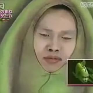V6好きな方〜!!