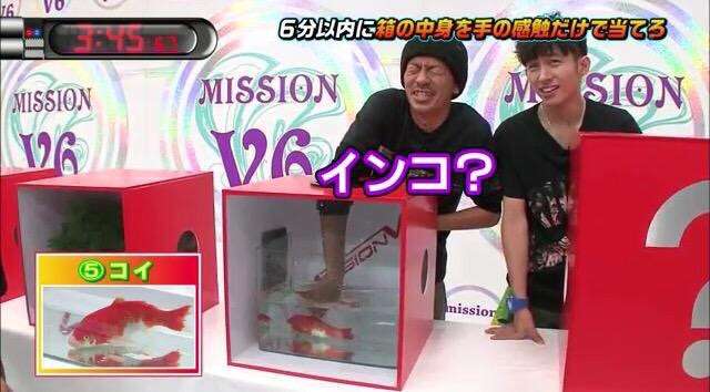 V6好きな方〜!!