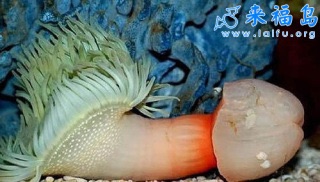 勘違いしそうな画像を貼るトピ。
