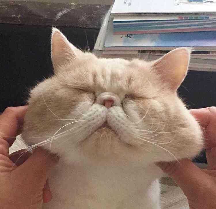 自衛隊の彼氏、旦那がいる人！！