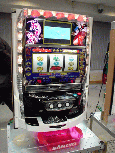 大コケした商品、場所