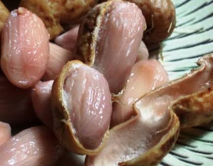 「自宅でプチ居酒屋さん♪」今、冷蔵庫にある物で料理を一品作るとしたら何が出来上がりますか？