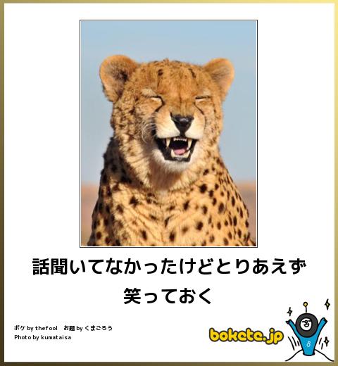 どの程度周りに合わせますか？